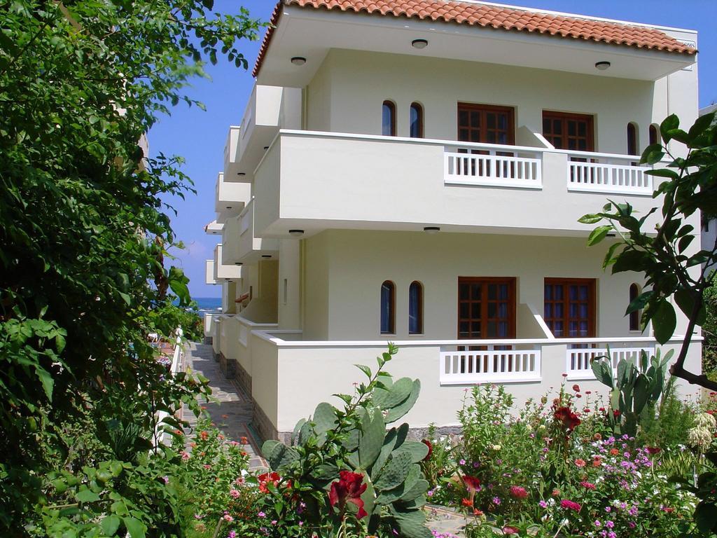 Seagull Studios Stalida
