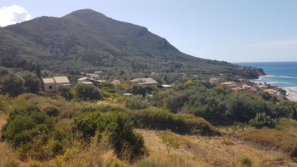 Apartment Areti Paramonas (Corfu)
