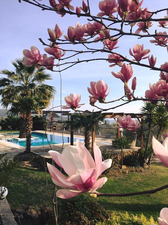 Hotel Iakovakis & 4*