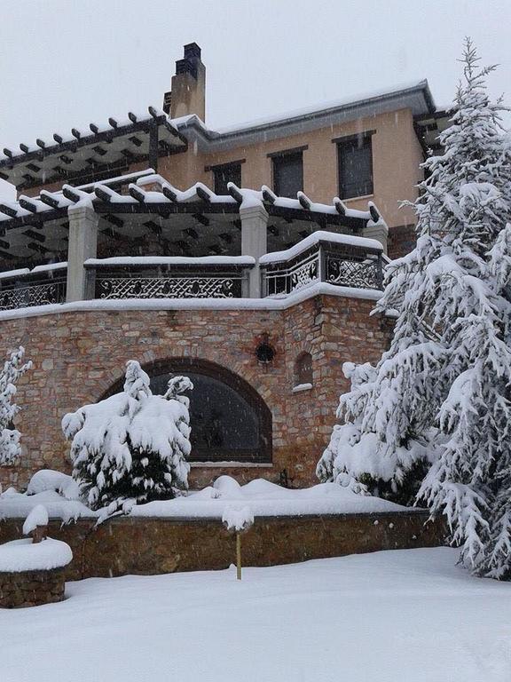 Hotel Iakovakis & Koropi