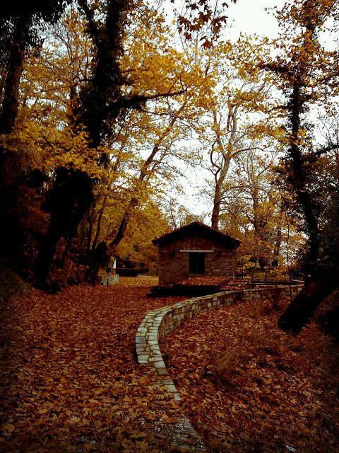 Hotel Iakovakis & Koropi
