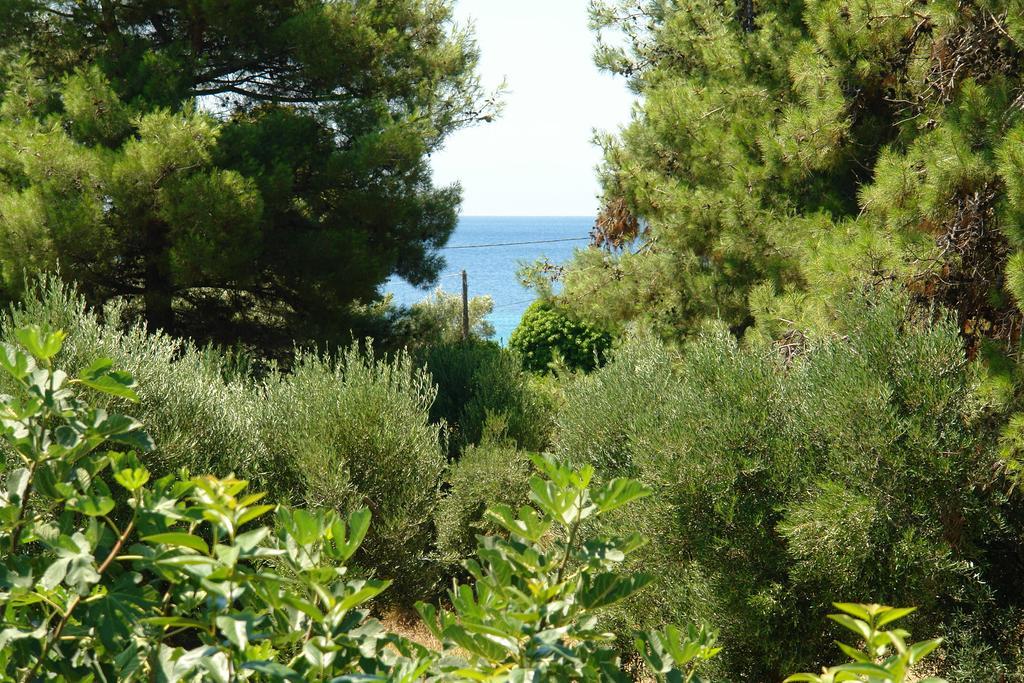 Antheia's House Nea Skioni