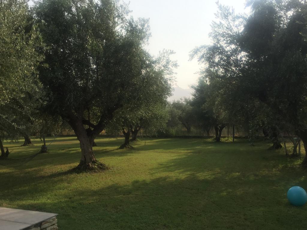 Apartment Anastasios Olive Garden