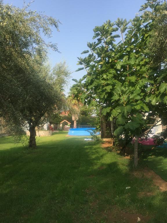 Apartment Anastasios Olive Garden Petalidi