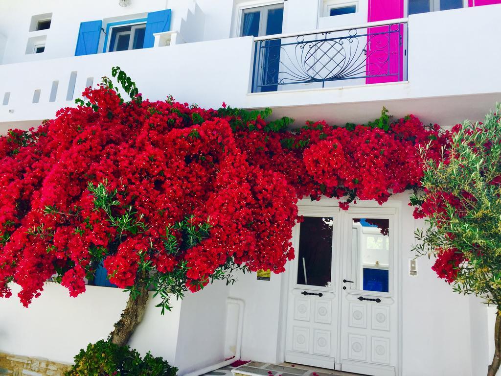 Hotel Aphrodite Boutique 3*