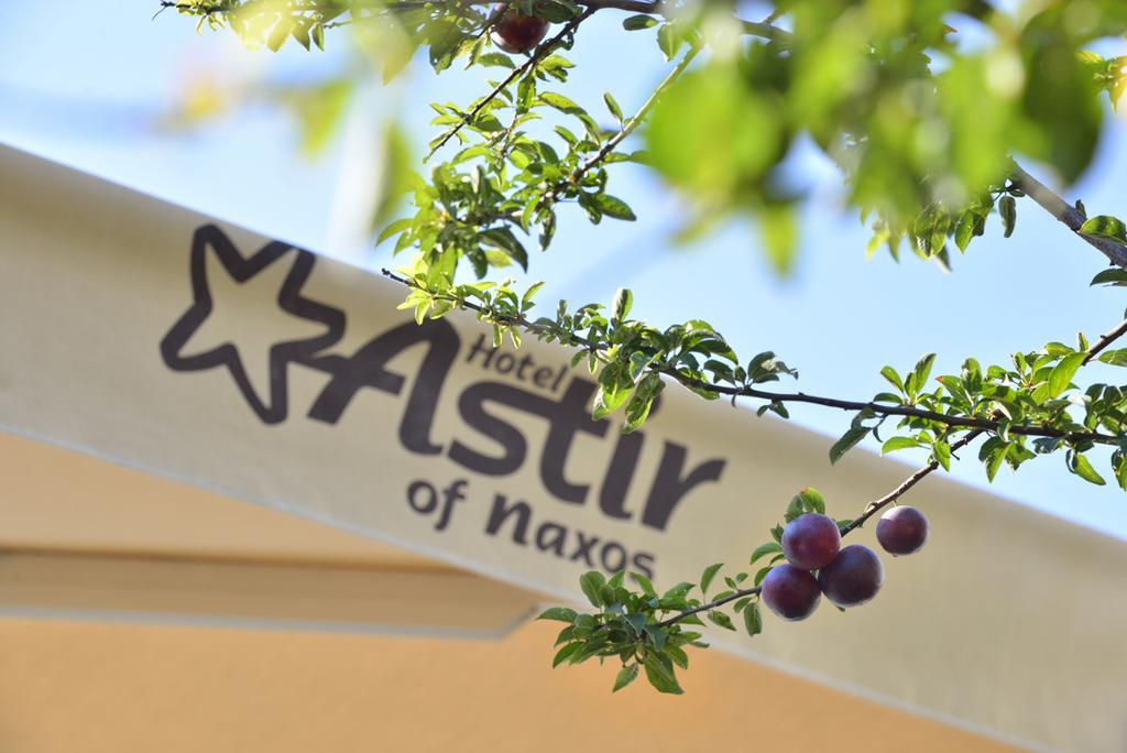 Astir Of Naxos Hotel