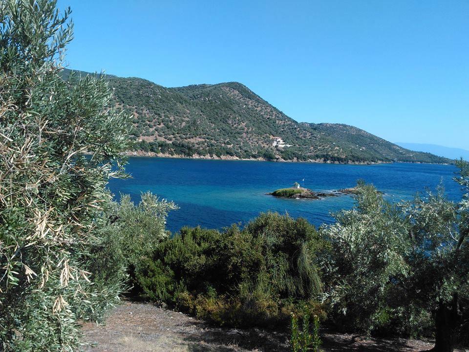 Theoxenia