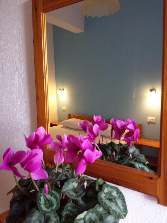 Sunrise House Guest house 2*