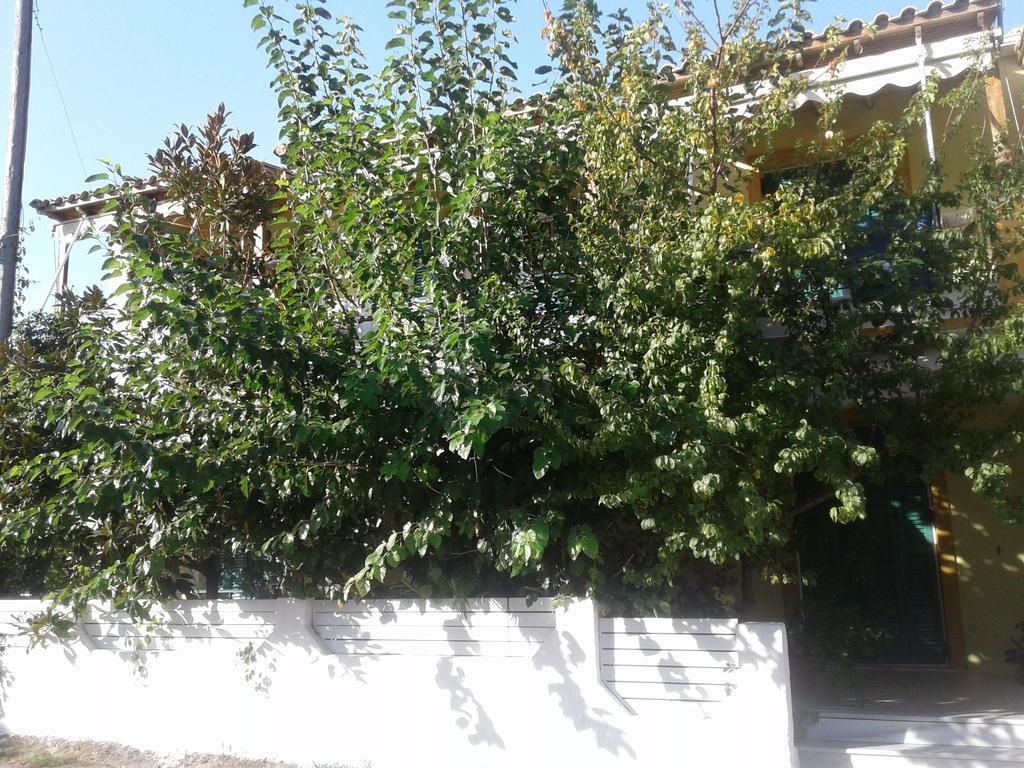 Lenia Aparthotel 2*