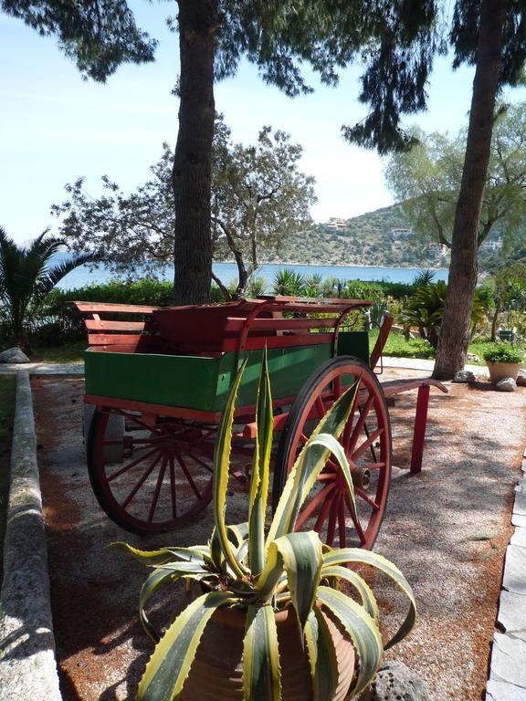 Saronikos Residences Holiday home