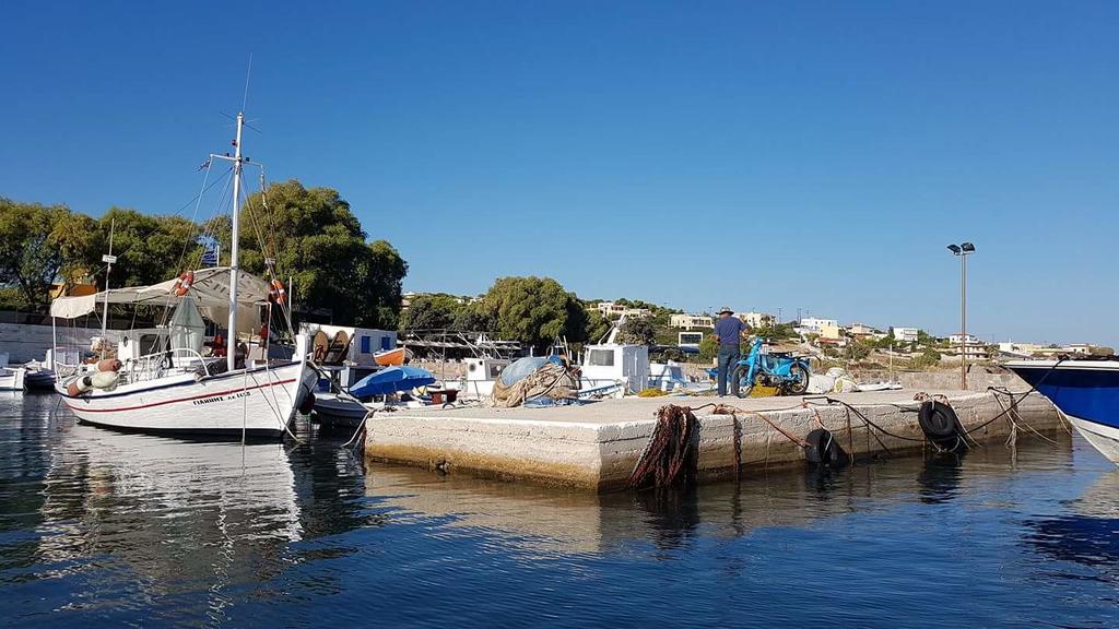 Xenia Vagia (Aegina)
