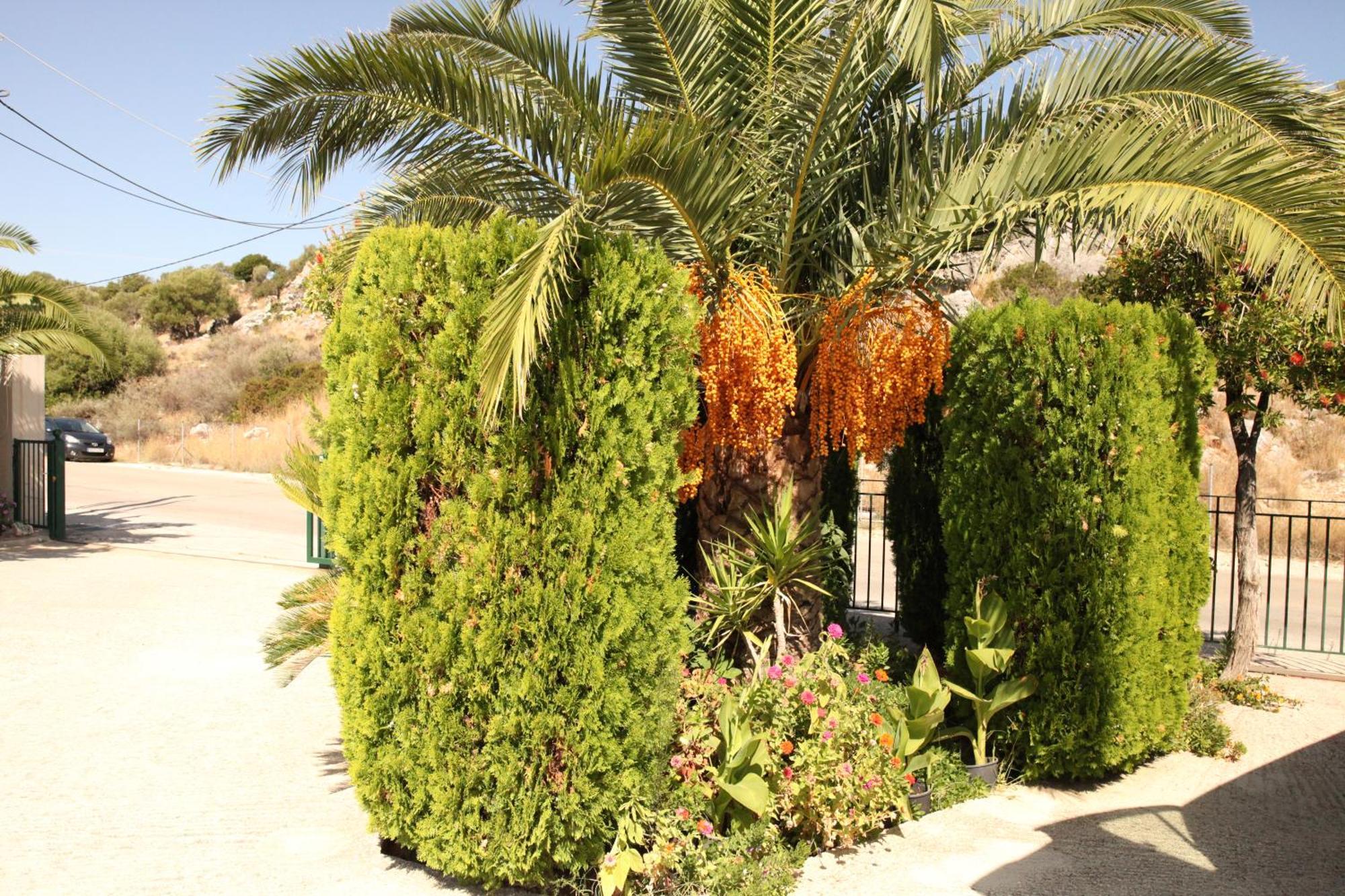 Agnantio Apartment