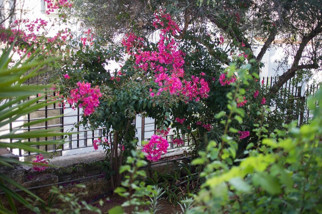 Glyfada Riviera *