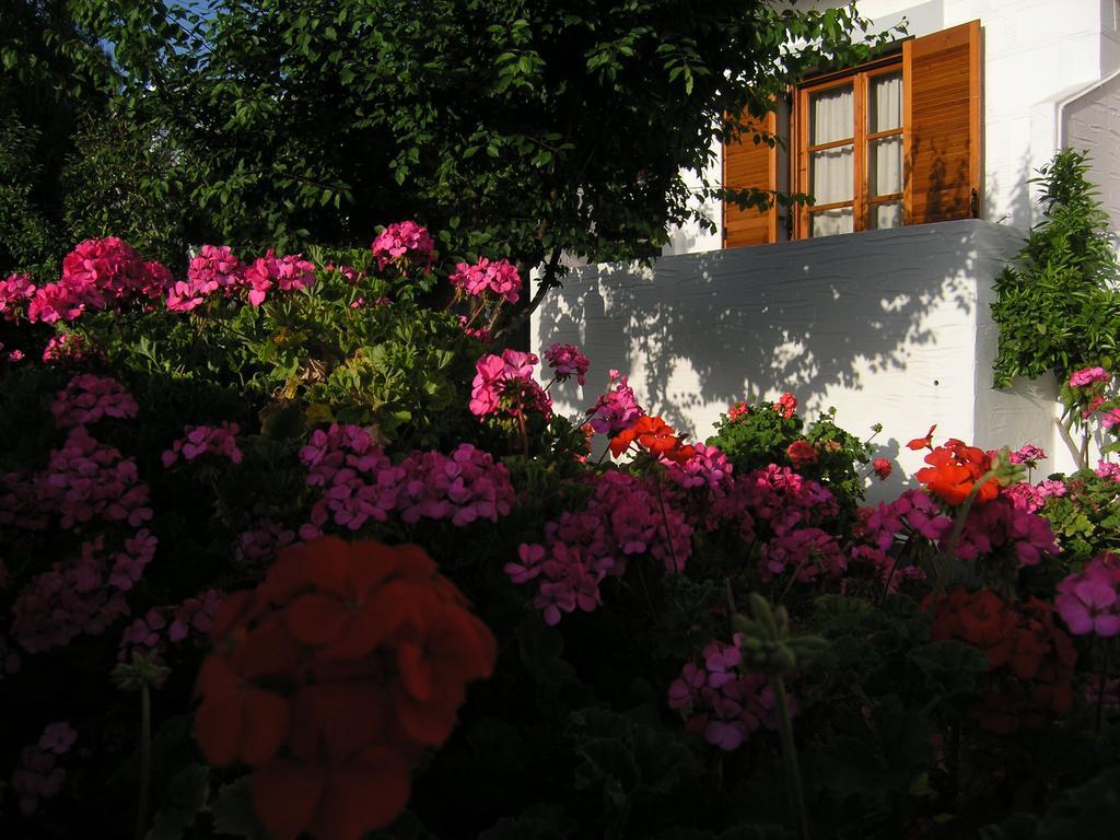 Chanioti Guest house