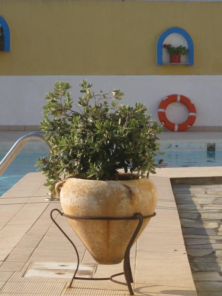 Porfyris Hotel Mandraki (Nisyros)