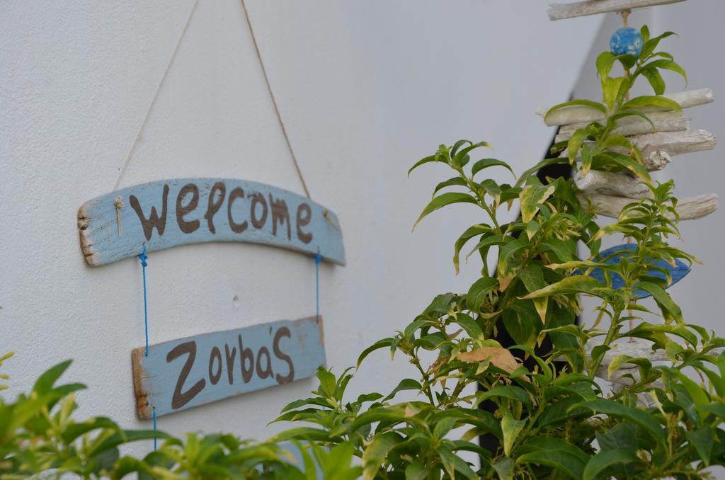 Apartment Zorbas *