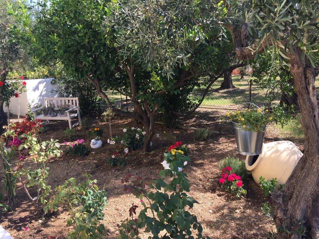 Villa Rania Guest house