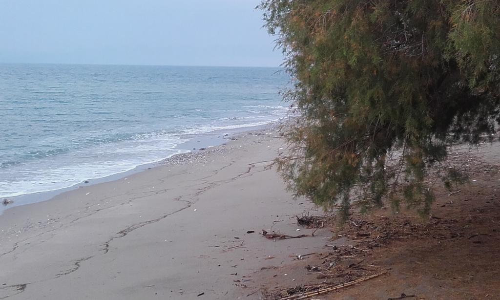 Avia Beachfront