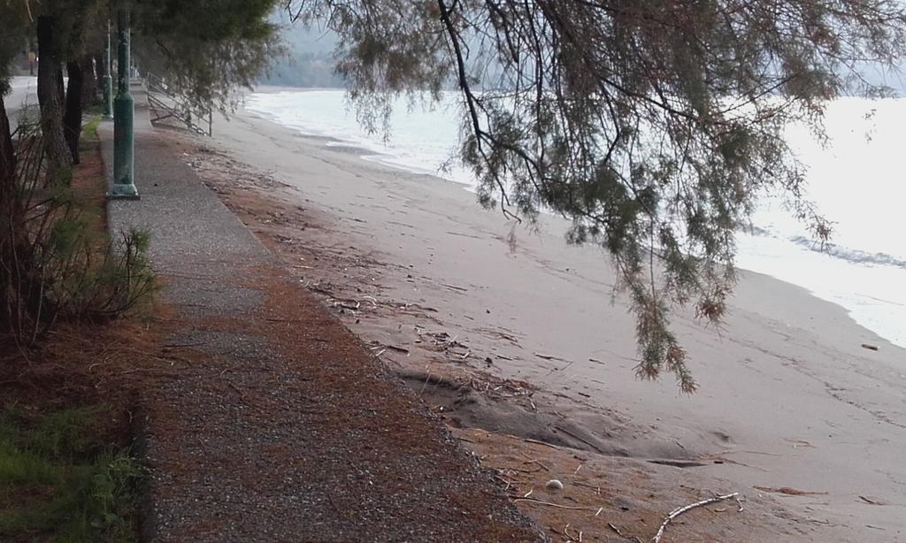Avia Beachfront Kalamata