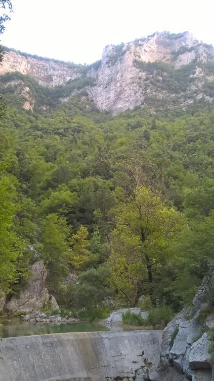 Milionis