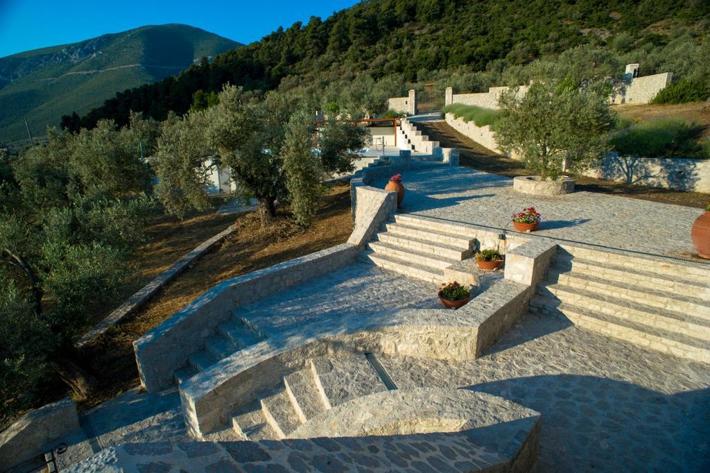 Lavanda E Pietra