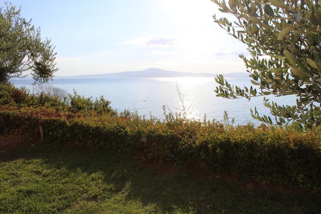 Avia Holiday Homes *