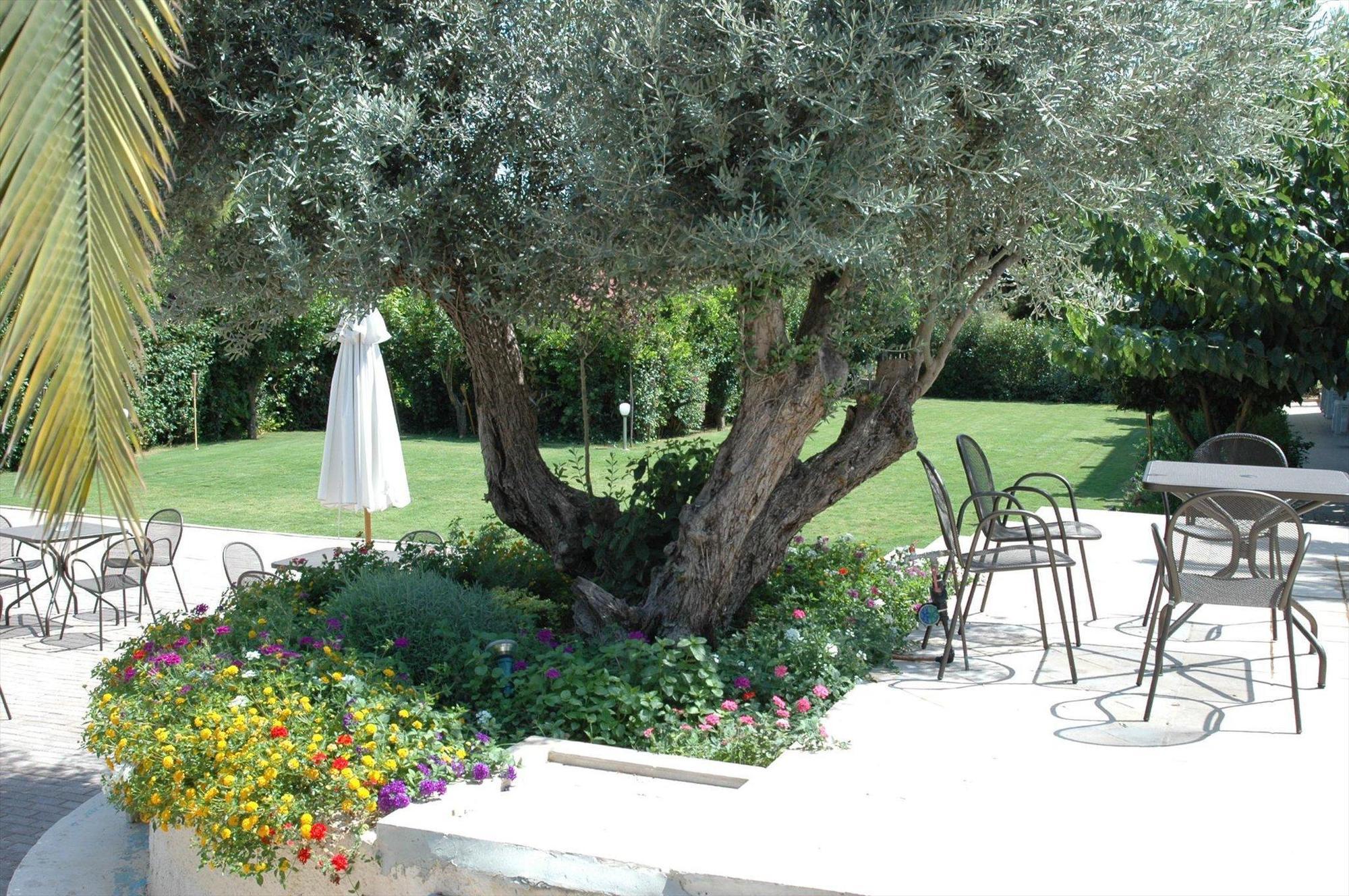 Hotel Myrto 3*