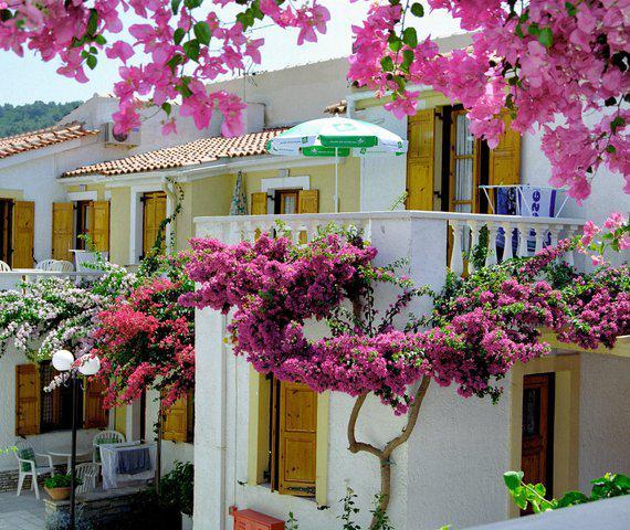 Olympia Hotel Kokkari
