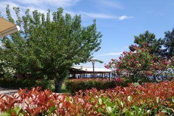 Nafsika Delphi-itea 3* Itea