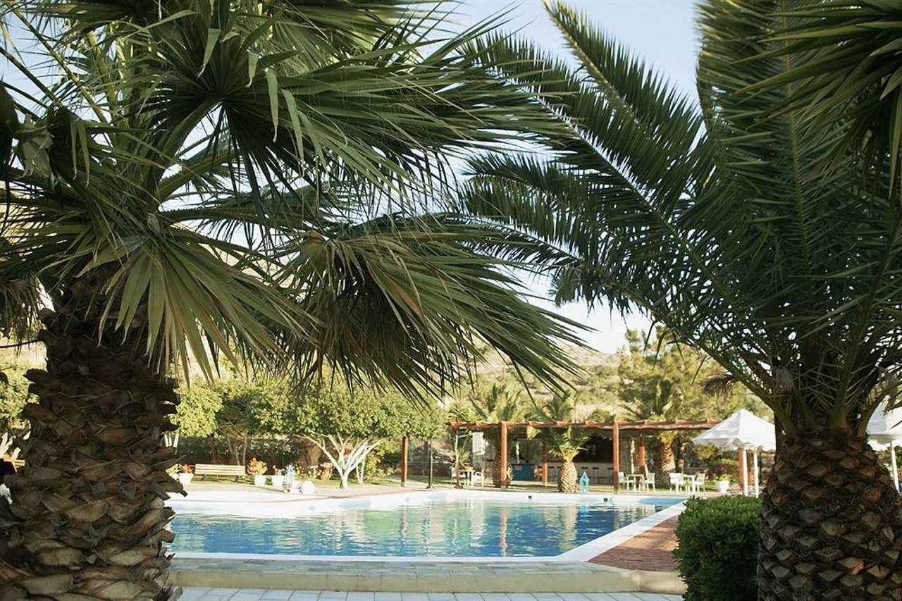 Palm &