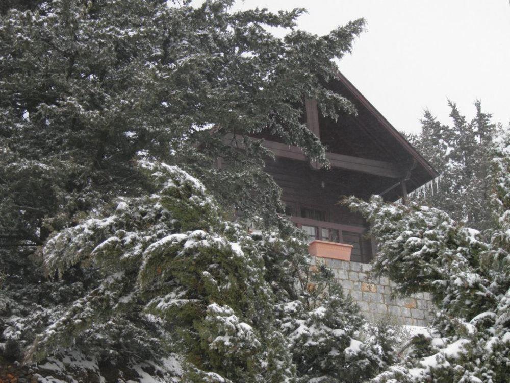 Hotel Lefkoritis Petres (Askyfou)