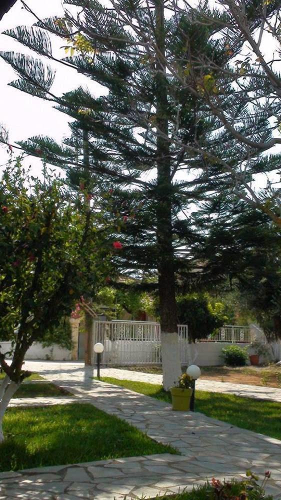 Marianthi Studios Lassi (Kefalonia)