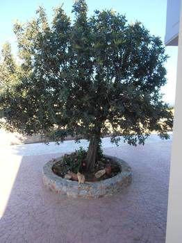Aquamarine Hotel Vigklafia
