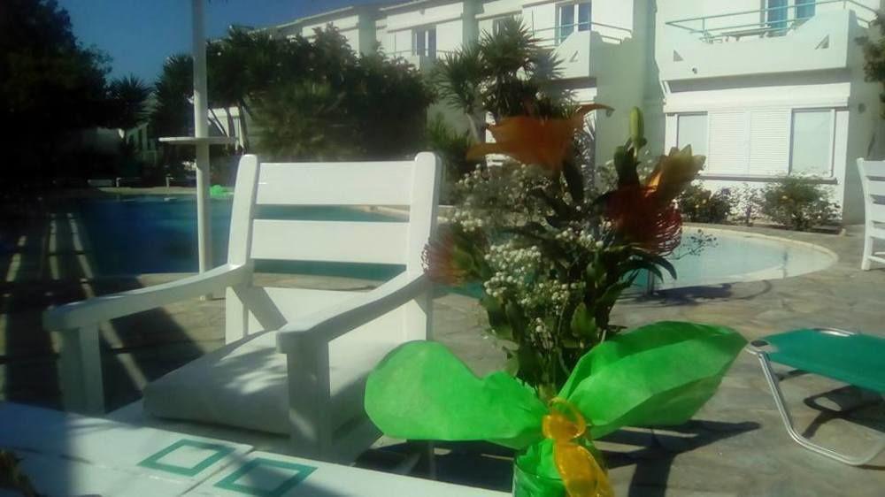 Apartment Seashell Pirgos Psilonerou