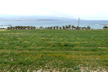 Ktima Zantidi Guest house 3*