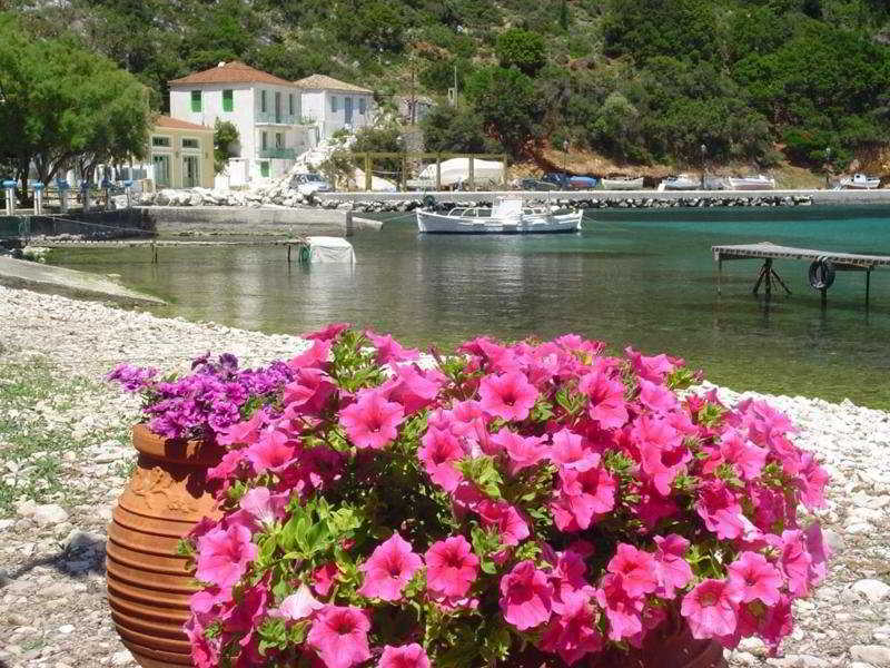 Aristotelis 2*