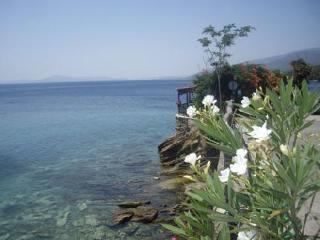 Hotel Katia Afissos