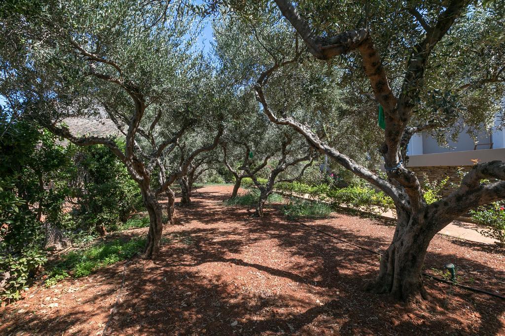 Villa Asterion Deep Blue