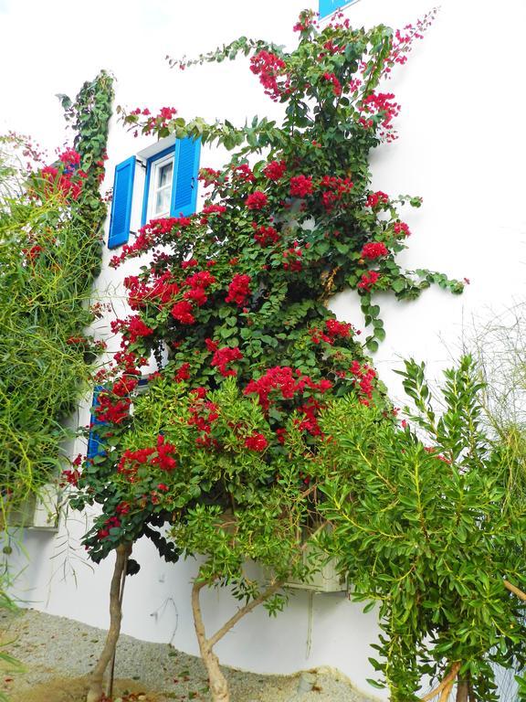 Aggelos Apartment Agios Prokopios (Naxos)