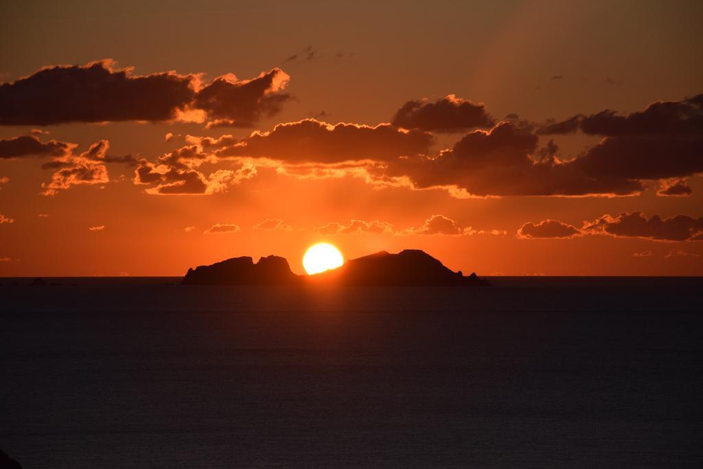 Andromeda Mykonos & Aparthotel Kalo Livadi