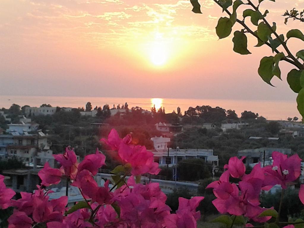 Iris Hotel 3*