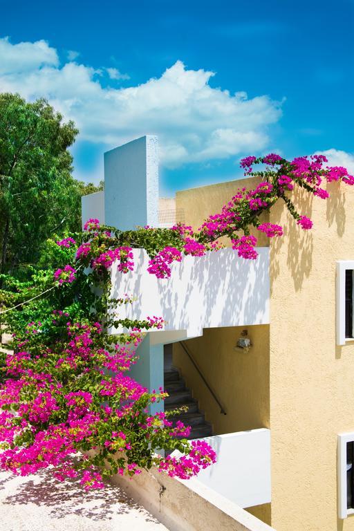 Hotel Iris Afantou