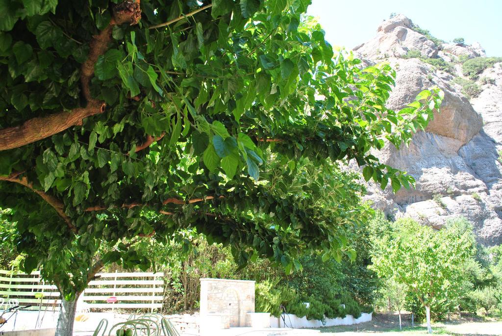 Eleftherios Guest house