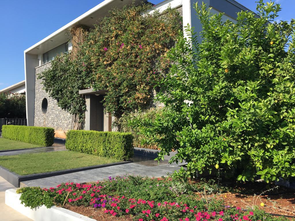 Glafkos Villa