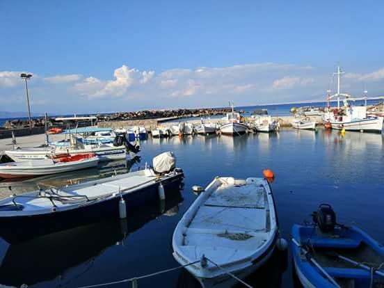 Xenia * Vagia (Aegina)