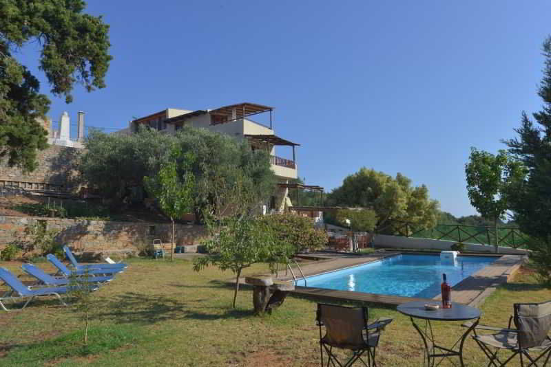 Almond Tree 3*