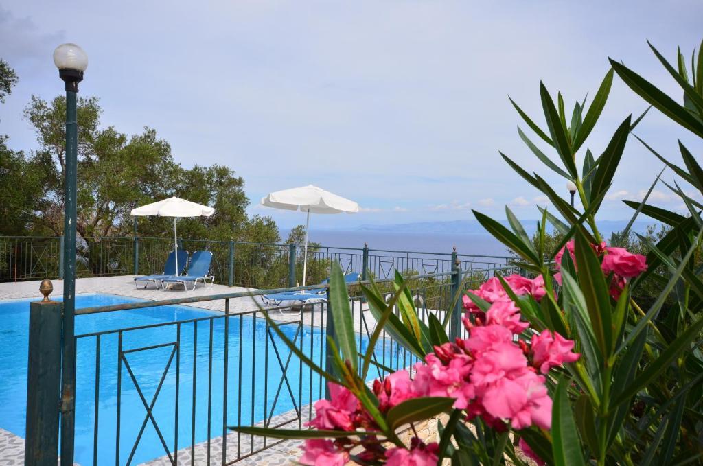 Antigoni * Corfu (city)