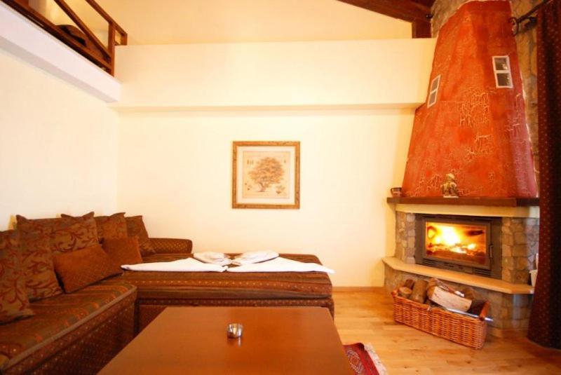 Hotel Vasilitsa