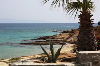 Paros Blue Dolphin Hotel Chrisi Akti (Paros)