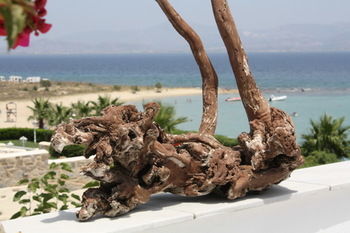 Paros Blue Dolphin Chrisi Akti (Paros)